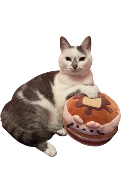 A short-haired white-and-grey cat leaning primly on a stack of pancakes Squishmallow stuffie.